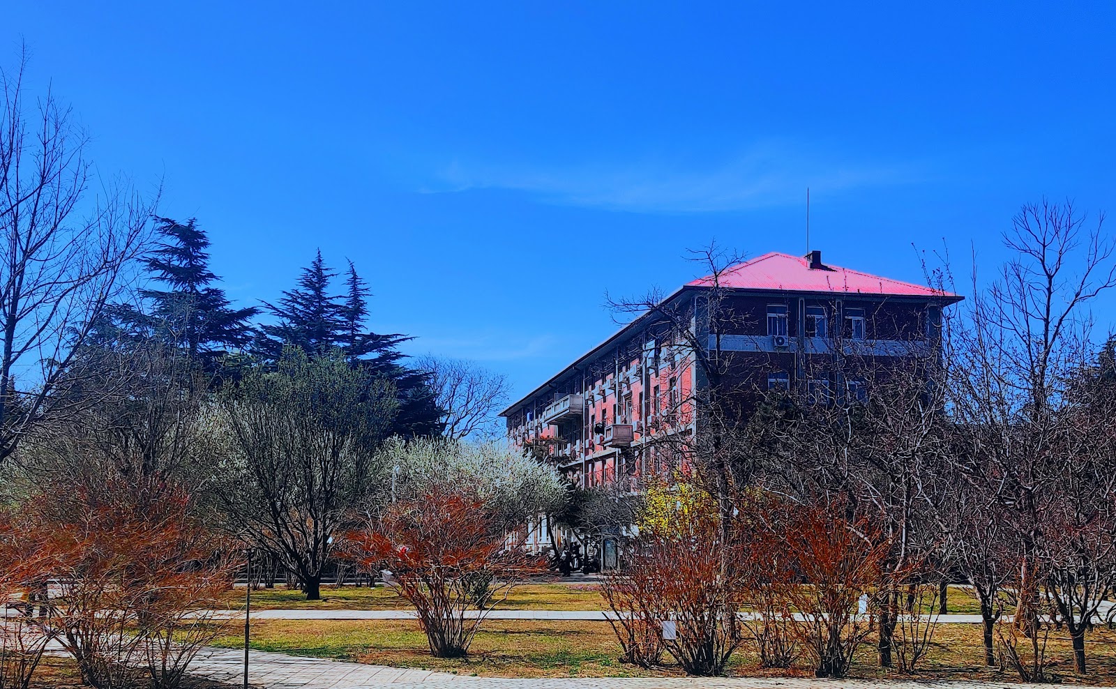 China Agricultural University