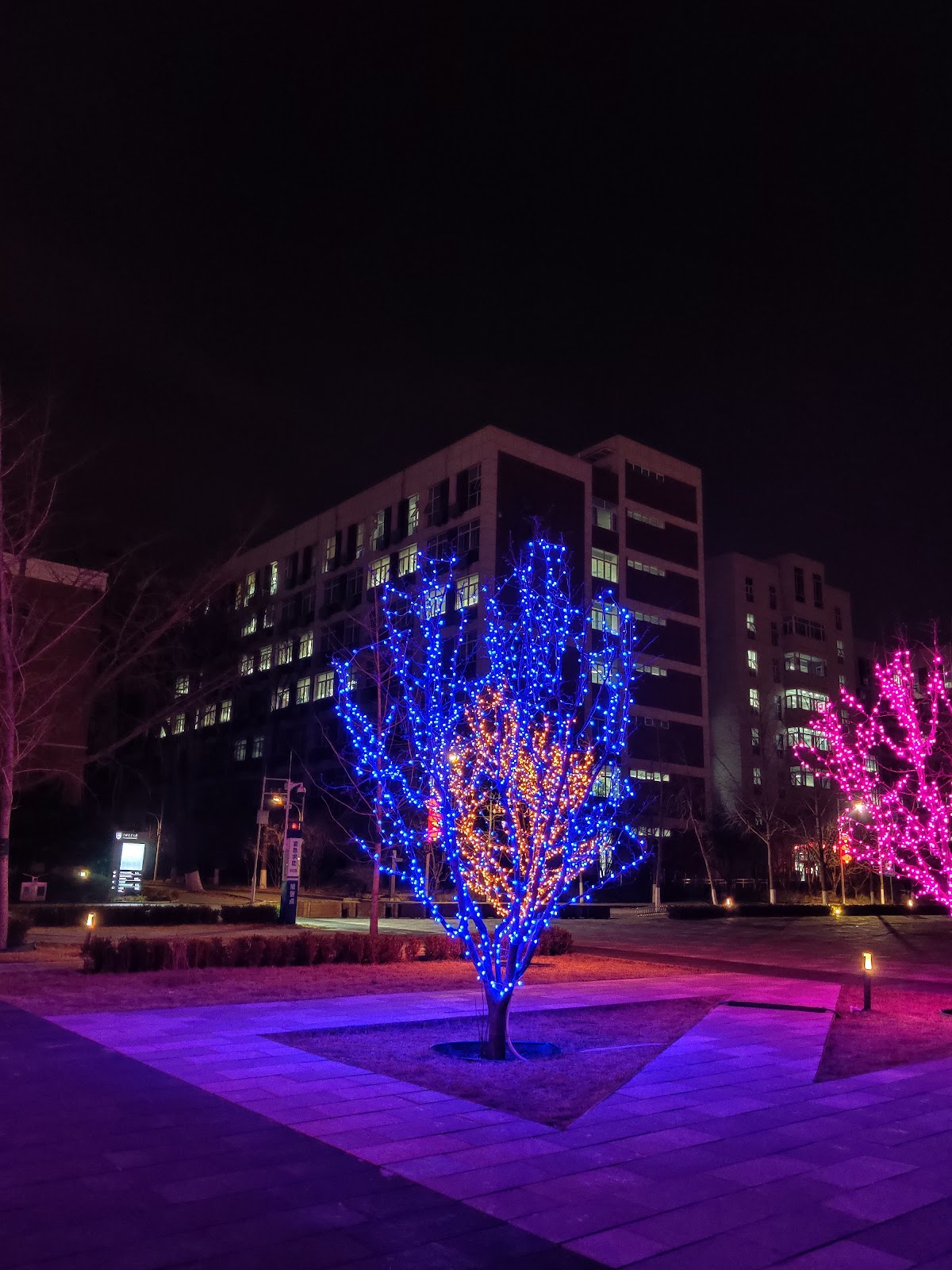 China Agricultural University photo 7