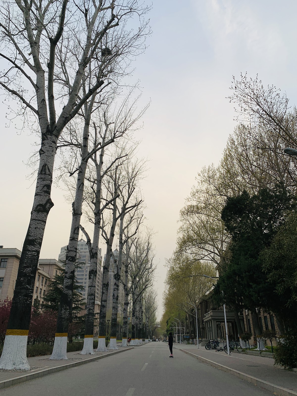 China Agricultural University photo 9
