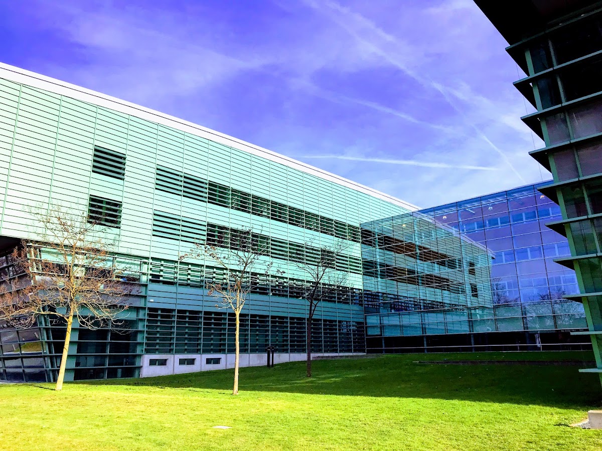 Radboud University photo 2