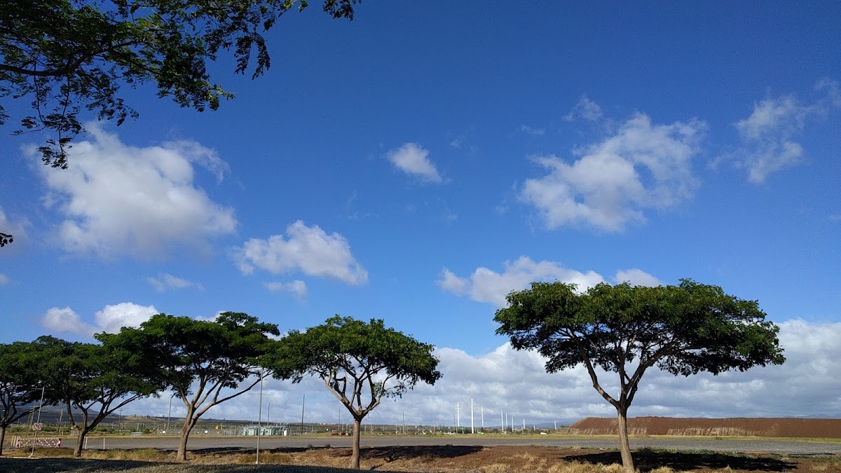 University of Hawaii West Oahu photo 2