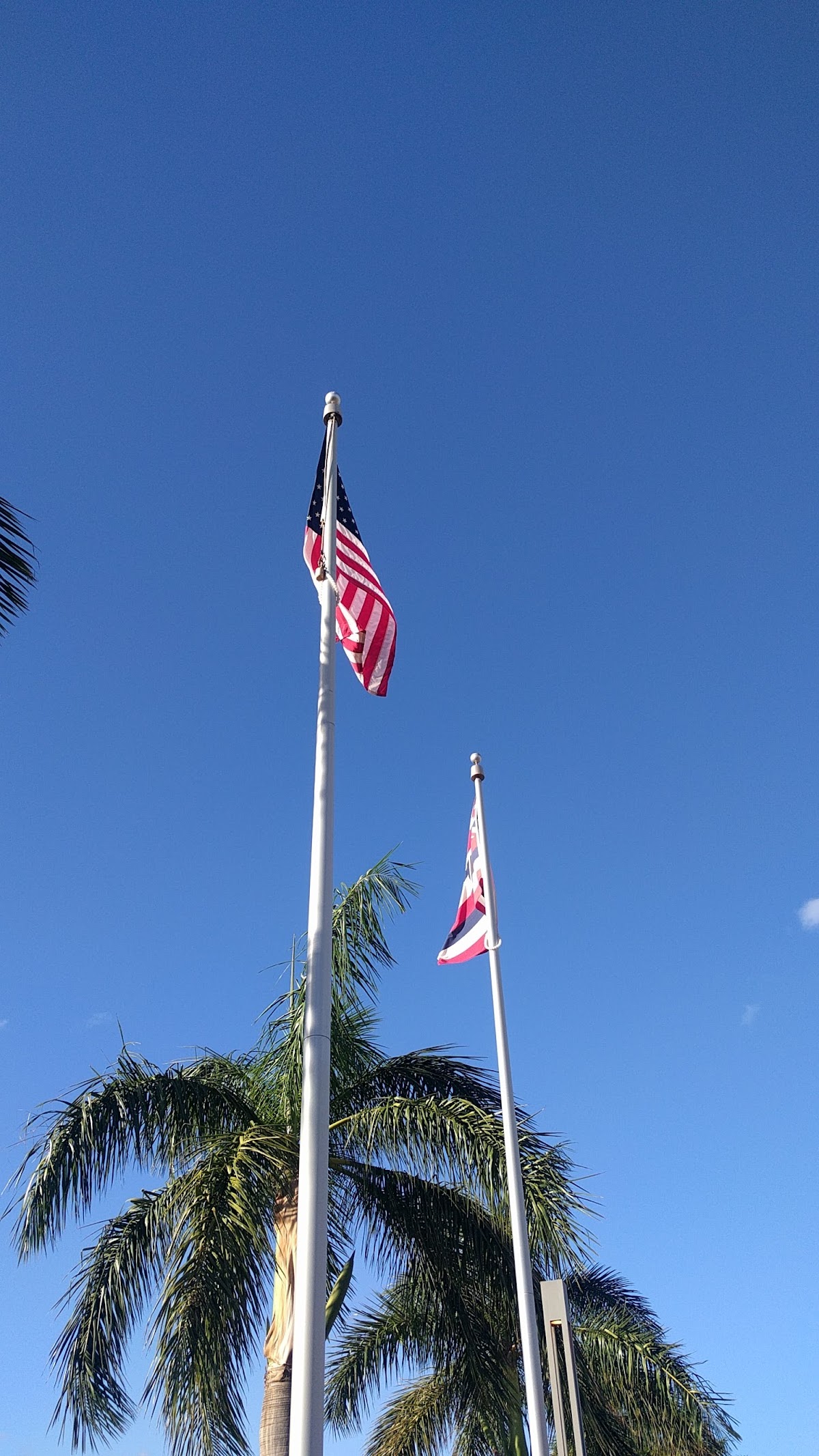 University of Hawaii West Oahu photo 8