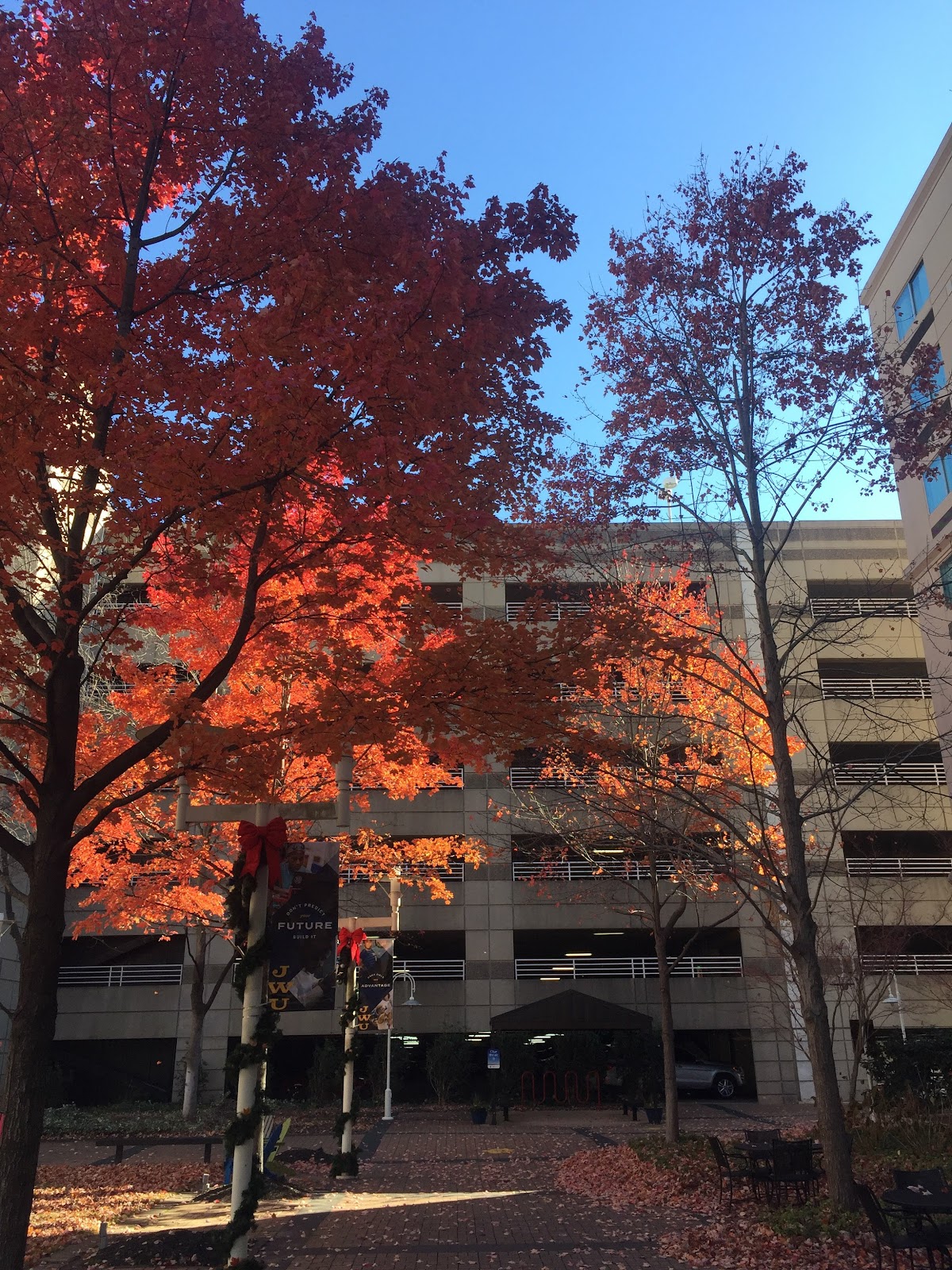 College of 1716 photo 7