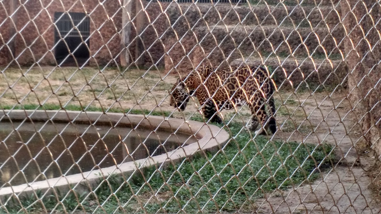 Federal University of Mato Grosso