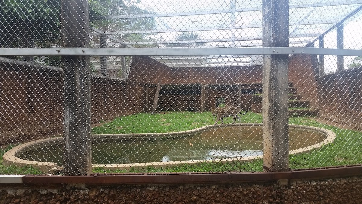 Federal University of Mato Grosso photo 1