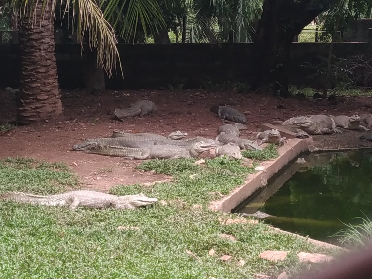 Federal University of Mato Grosso photo 3