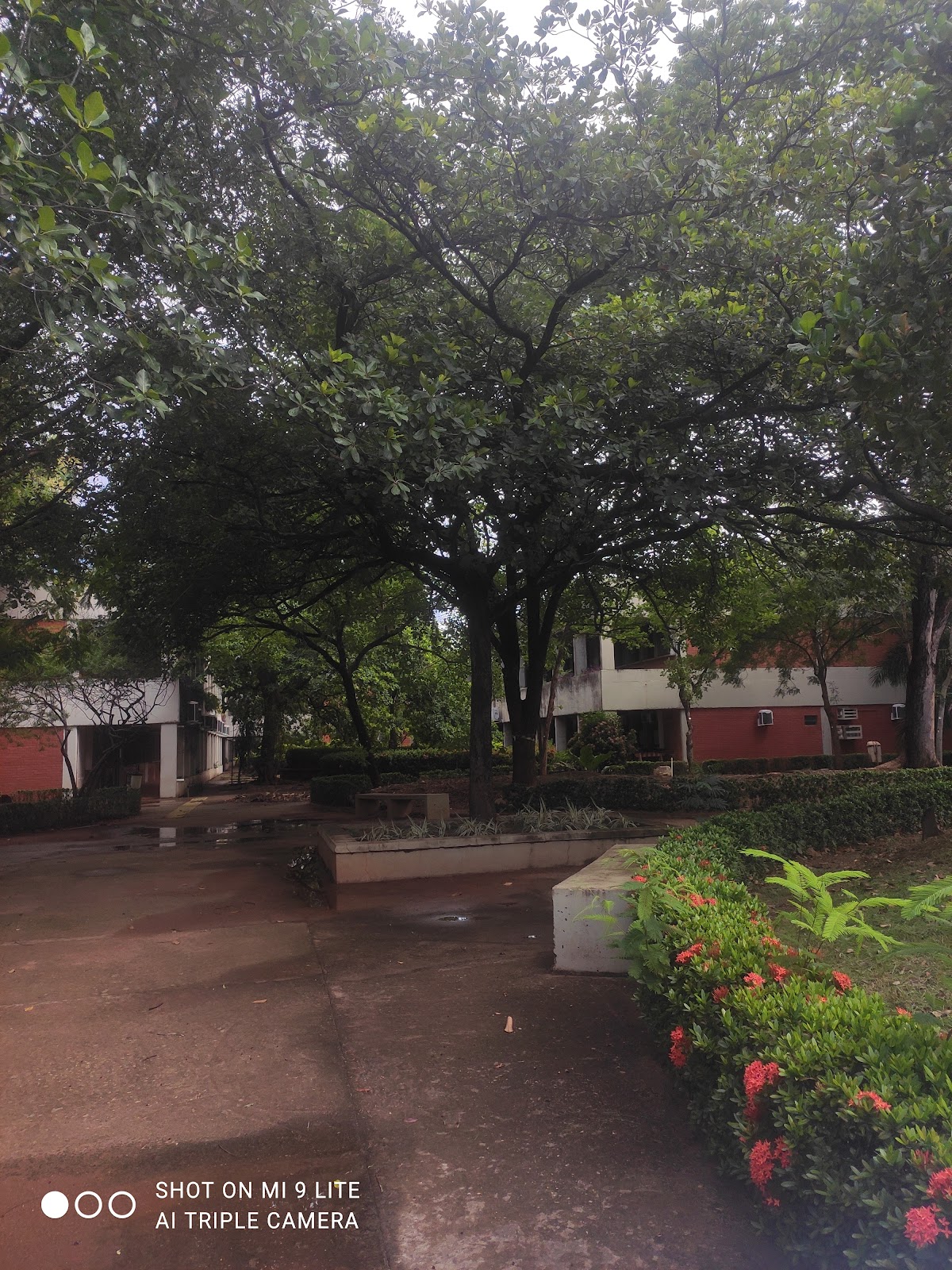 Federal University of Mato Grosso photo 6