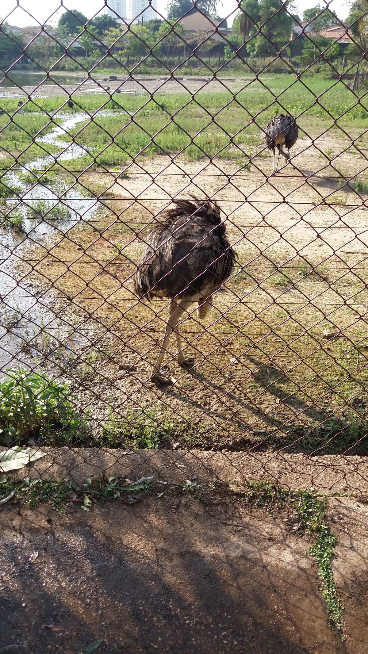 Federal University of Mato Grosso photo 7