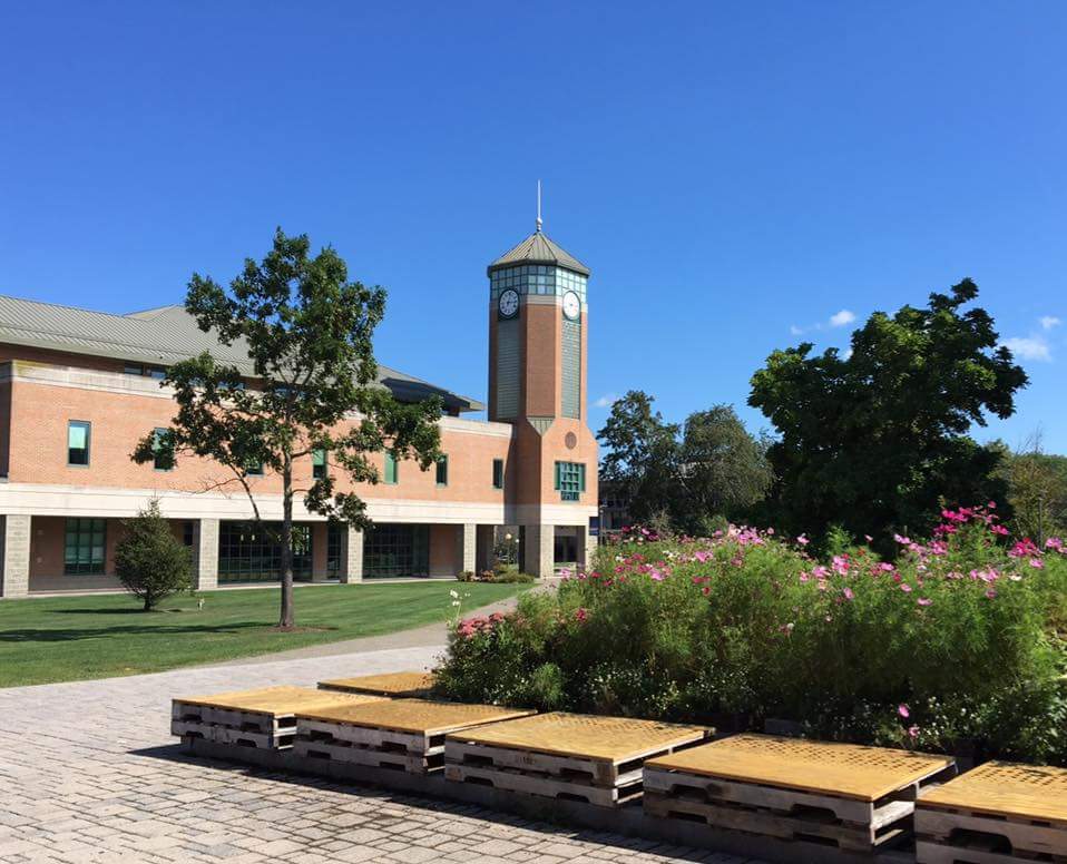 Roger Williams University photo 4