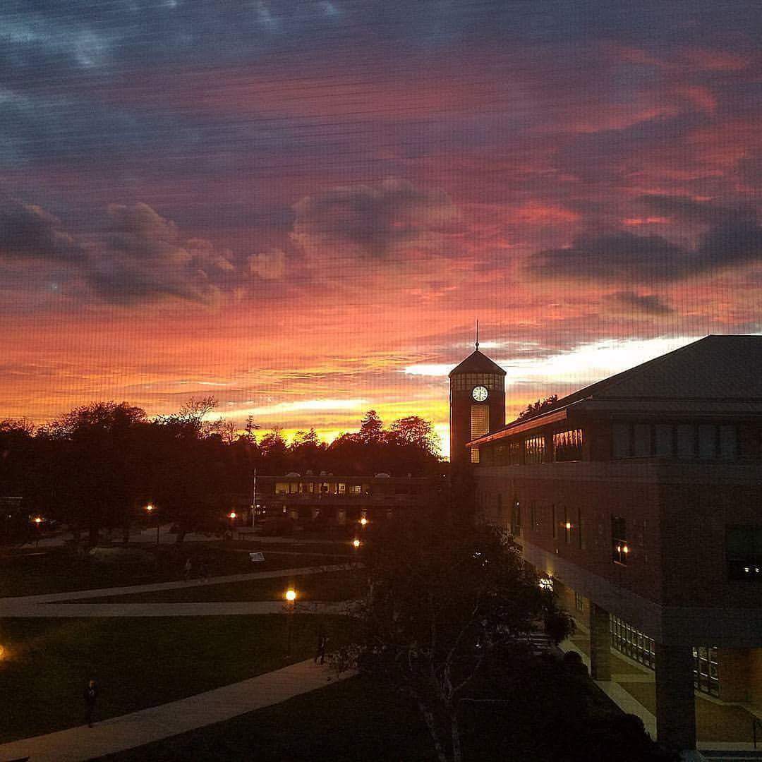 Roger Williams University photo 6