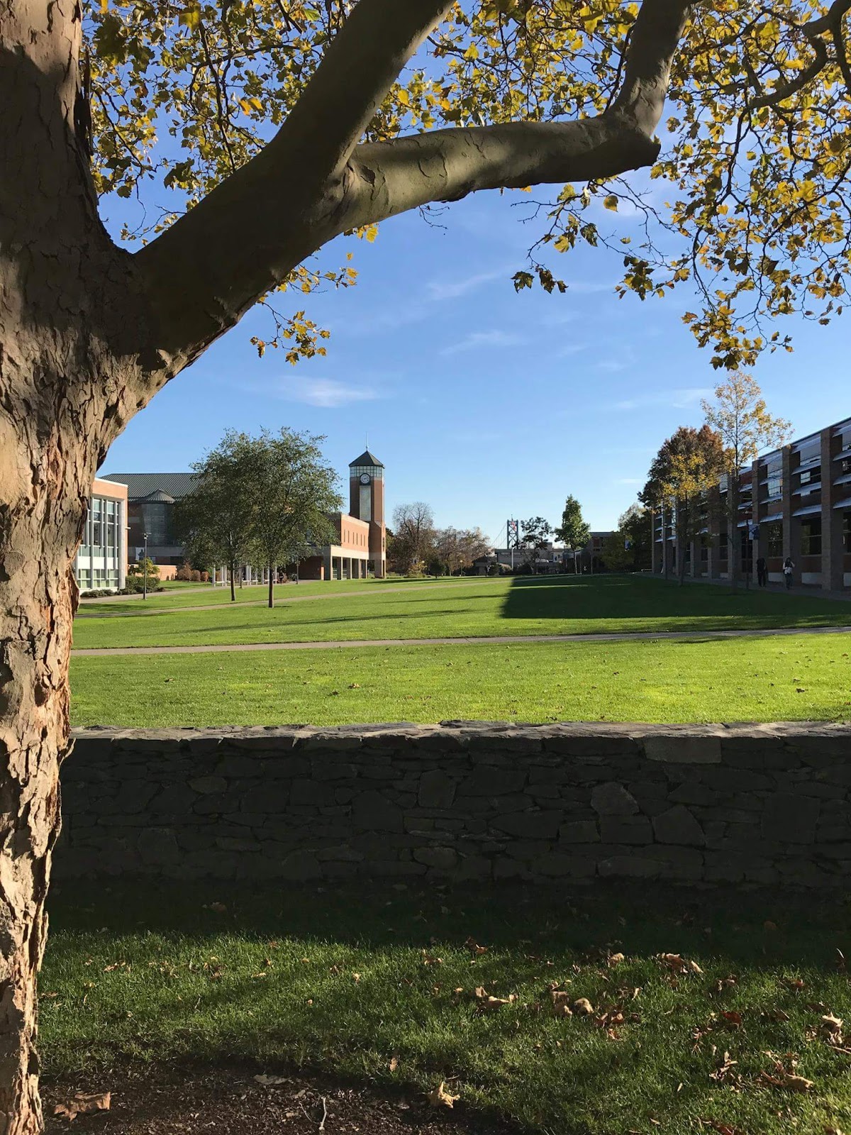 Roger Williams University photo 7