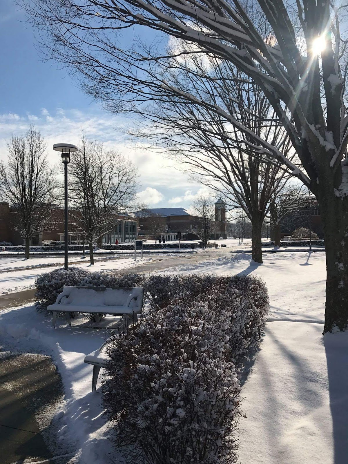 Roger Williams University photo 9