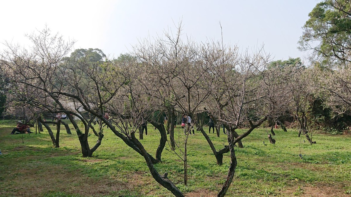 National Tsing Hua University photo 1