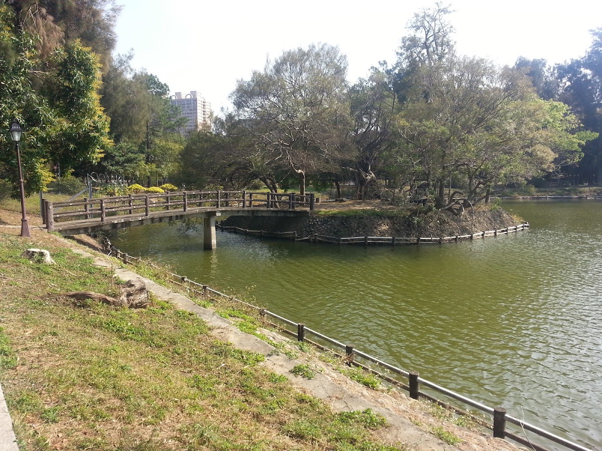 National Tsing Hua University photo 5