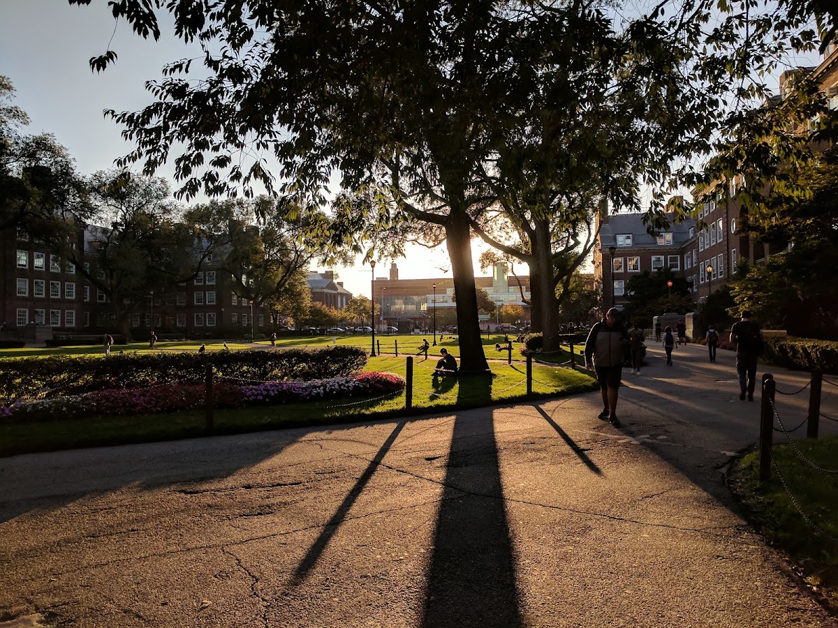 CUNY Brooklyn College photo 4