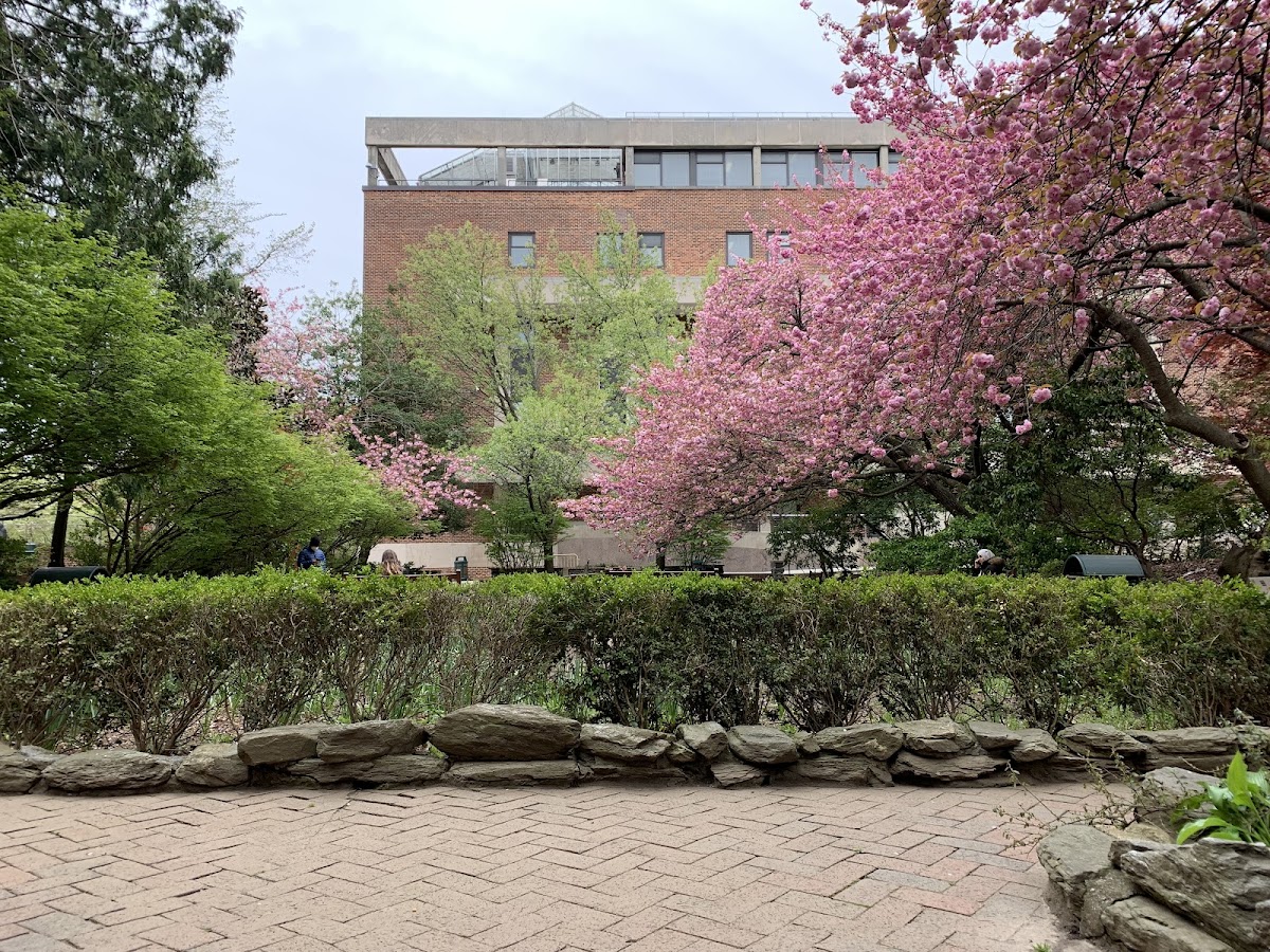 CUNY Brooklyn College photo 6