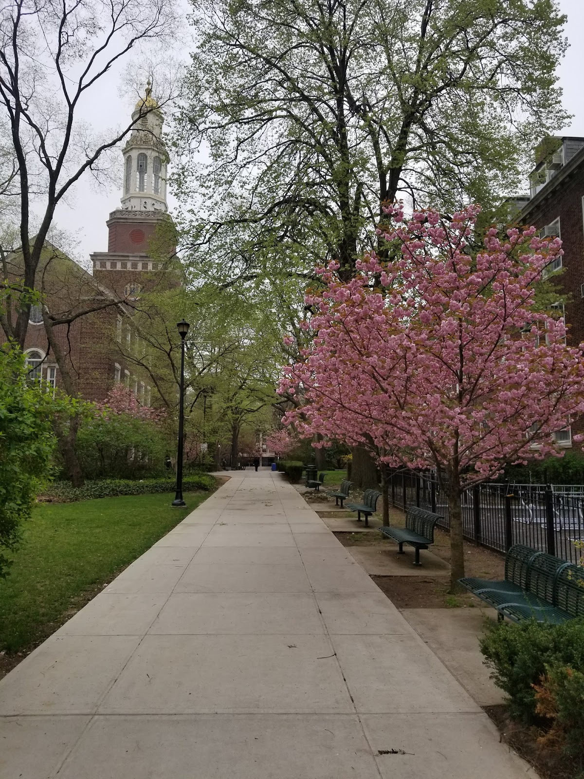 CUNY Brooklyn College photo 8