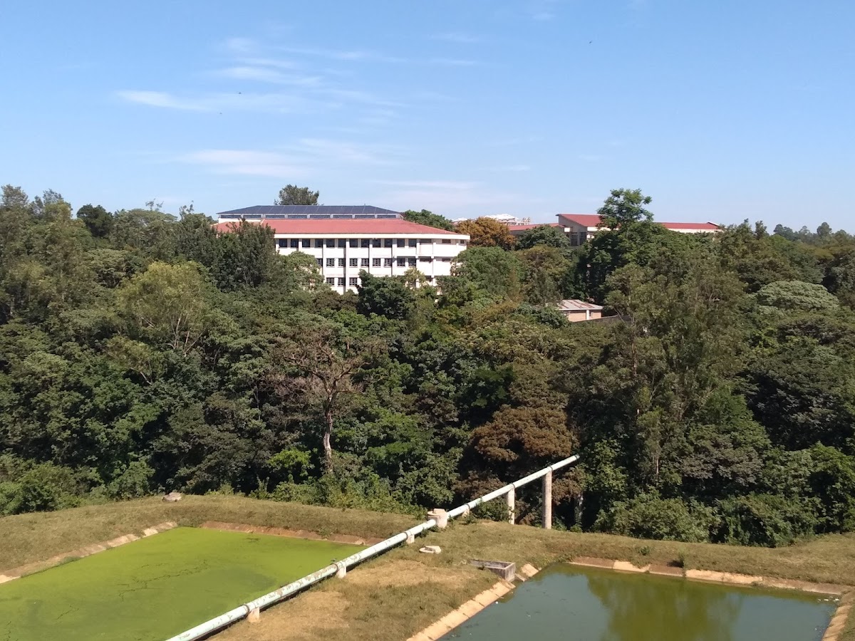 Masinde Muliro University of Science and Technology photo 8