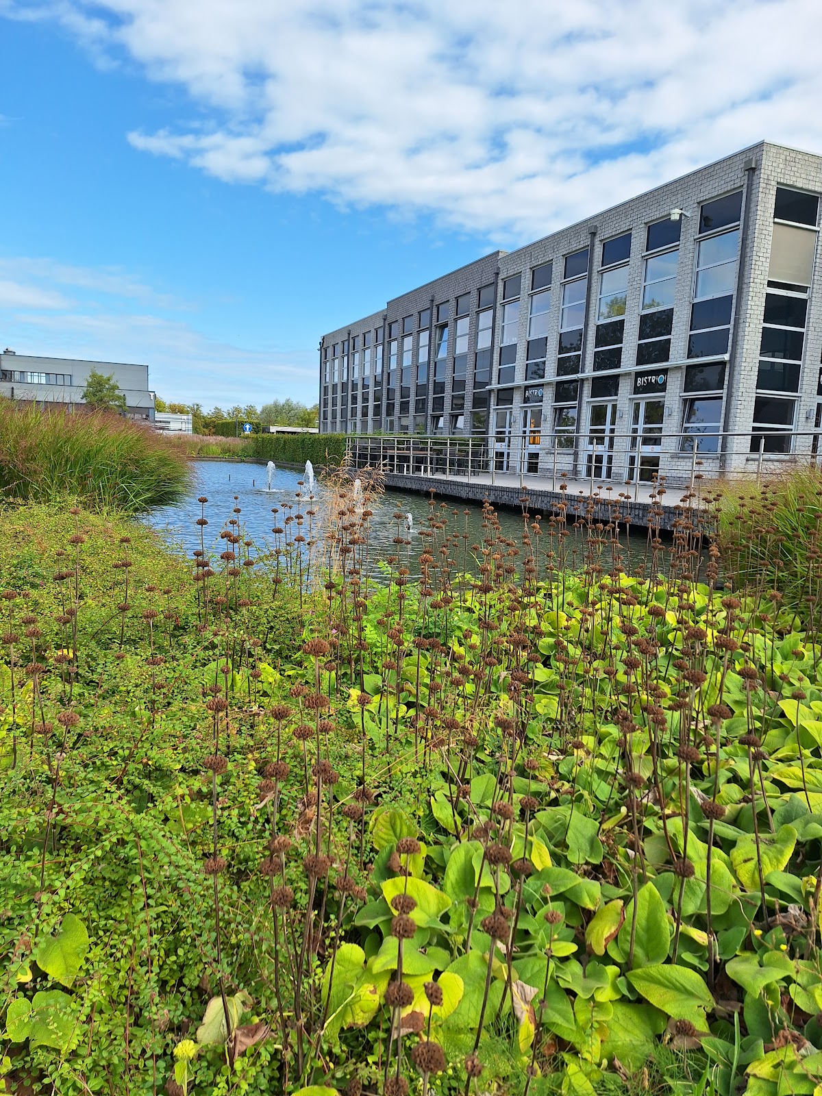 VIVES University of Applied Sciences photo 9