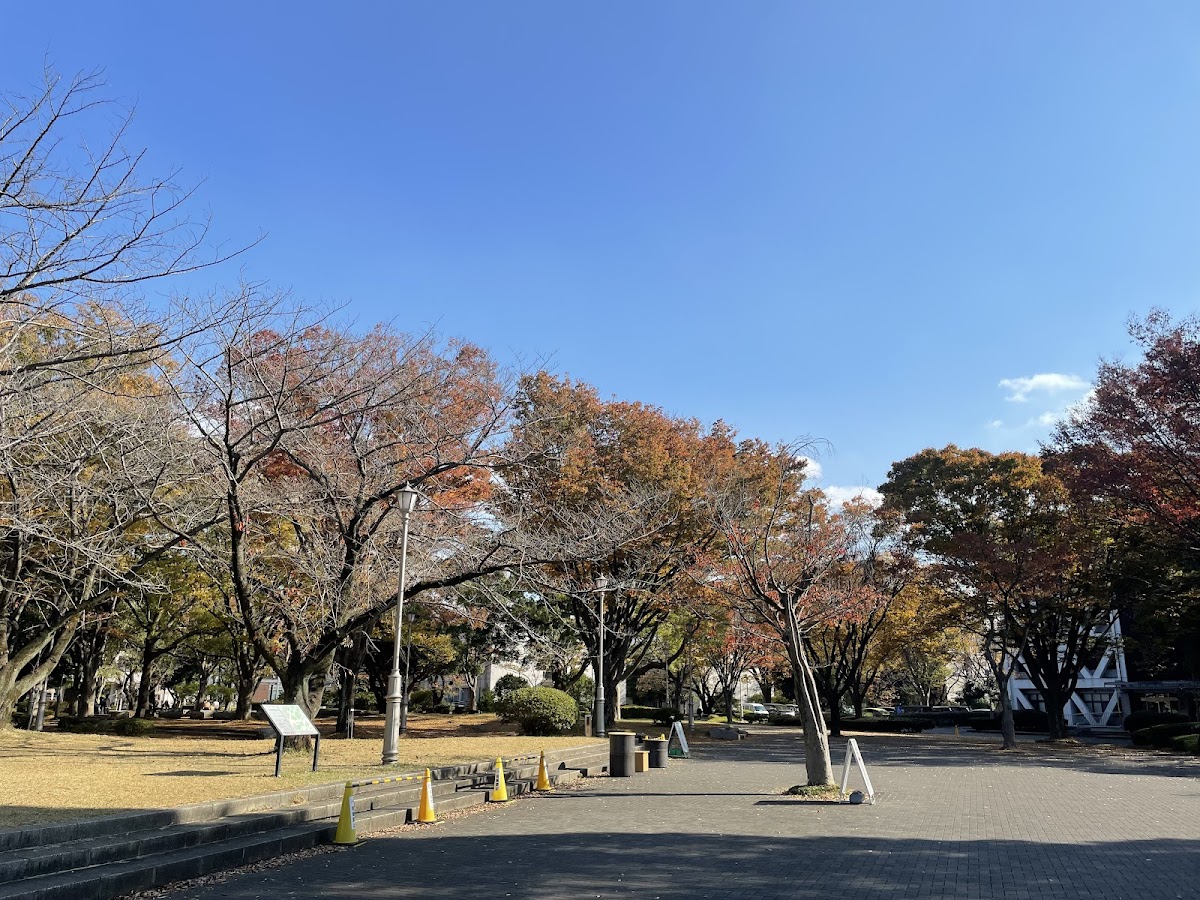 Chiba University photo 2