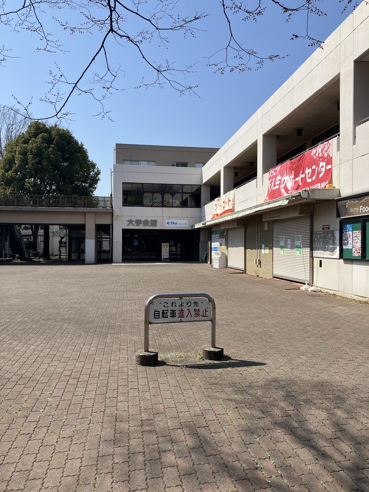 Chiba University photo 9