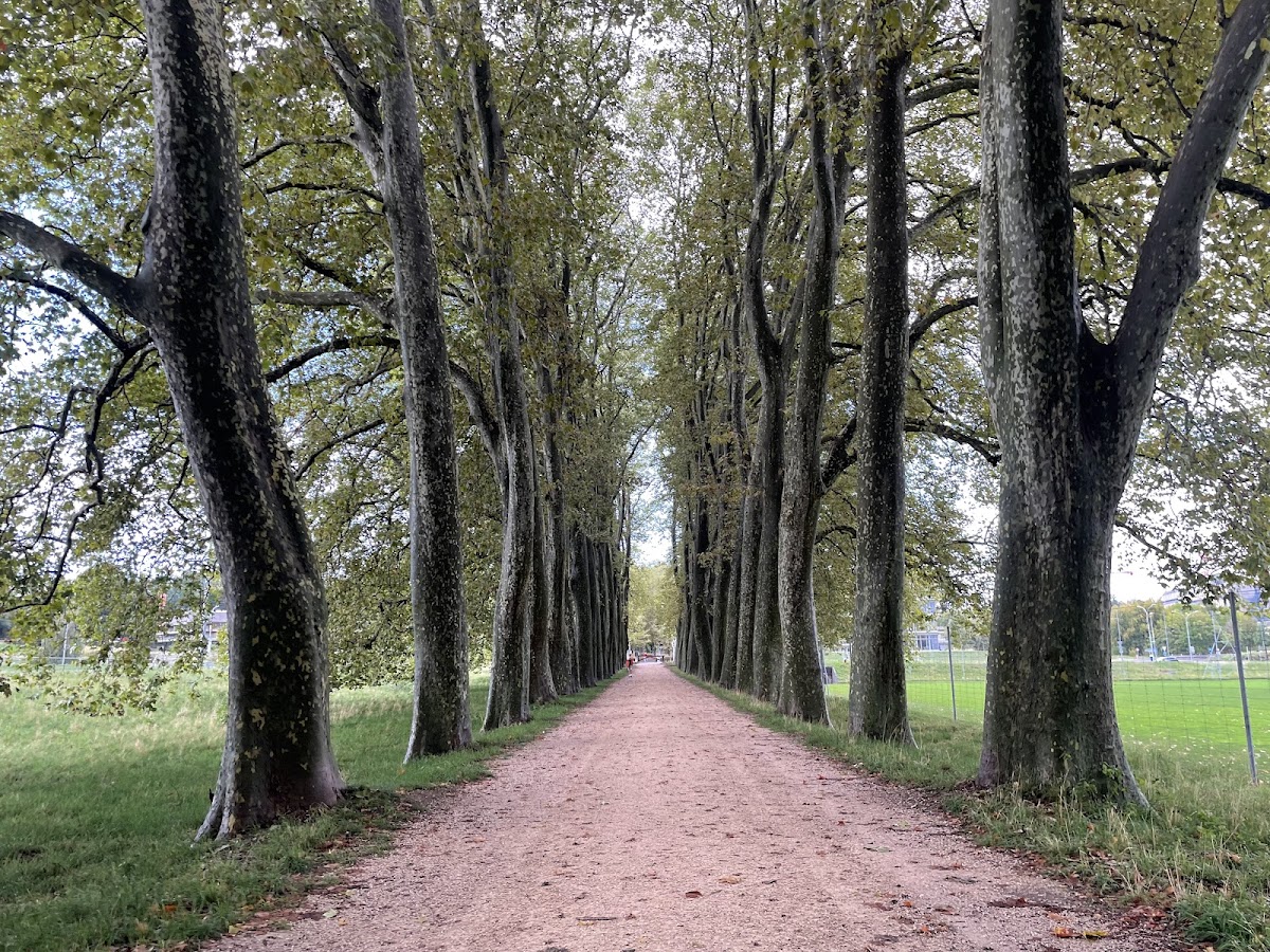 University of Lausanne photo 4