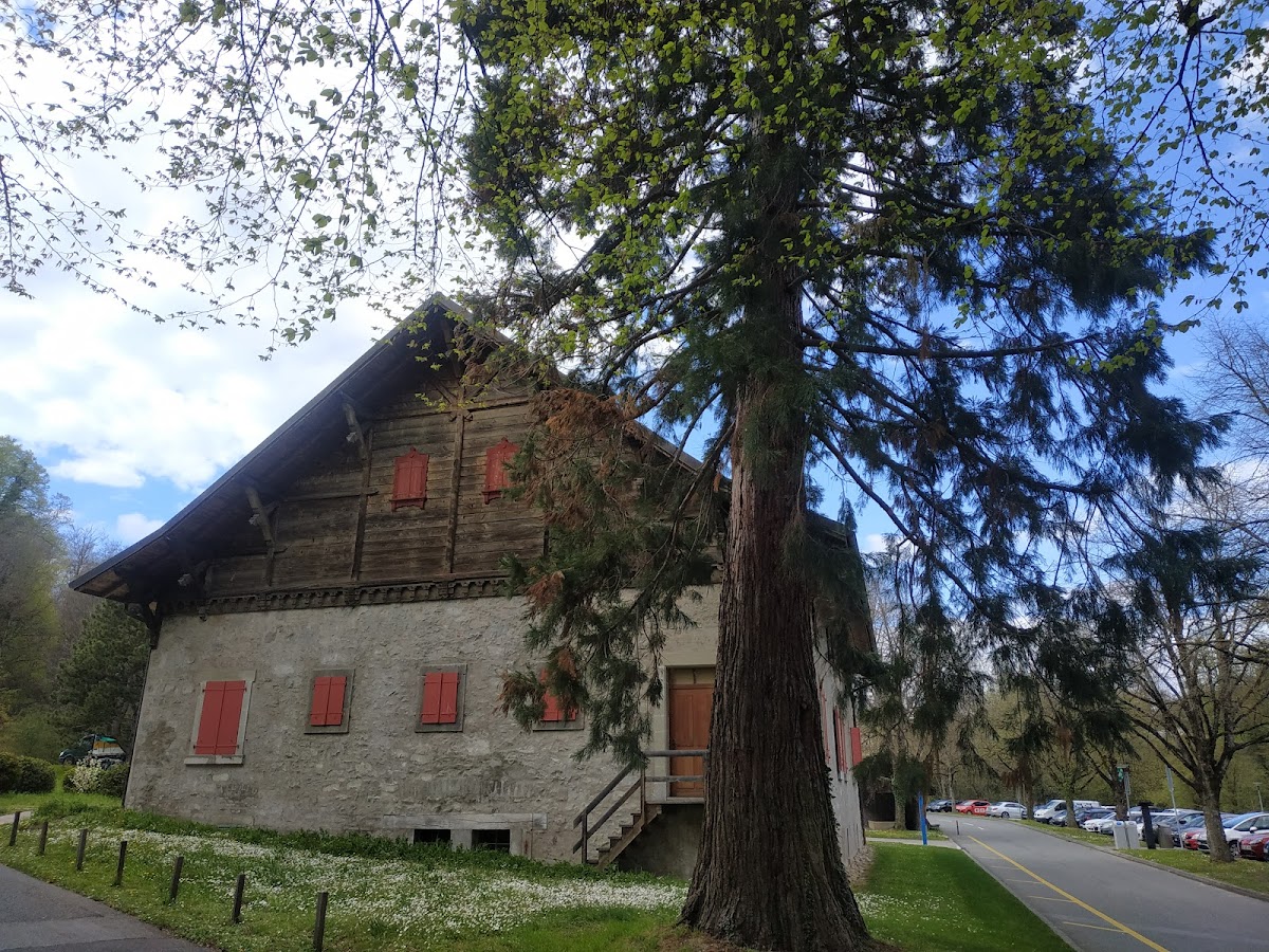 University of Lausanne photo 7