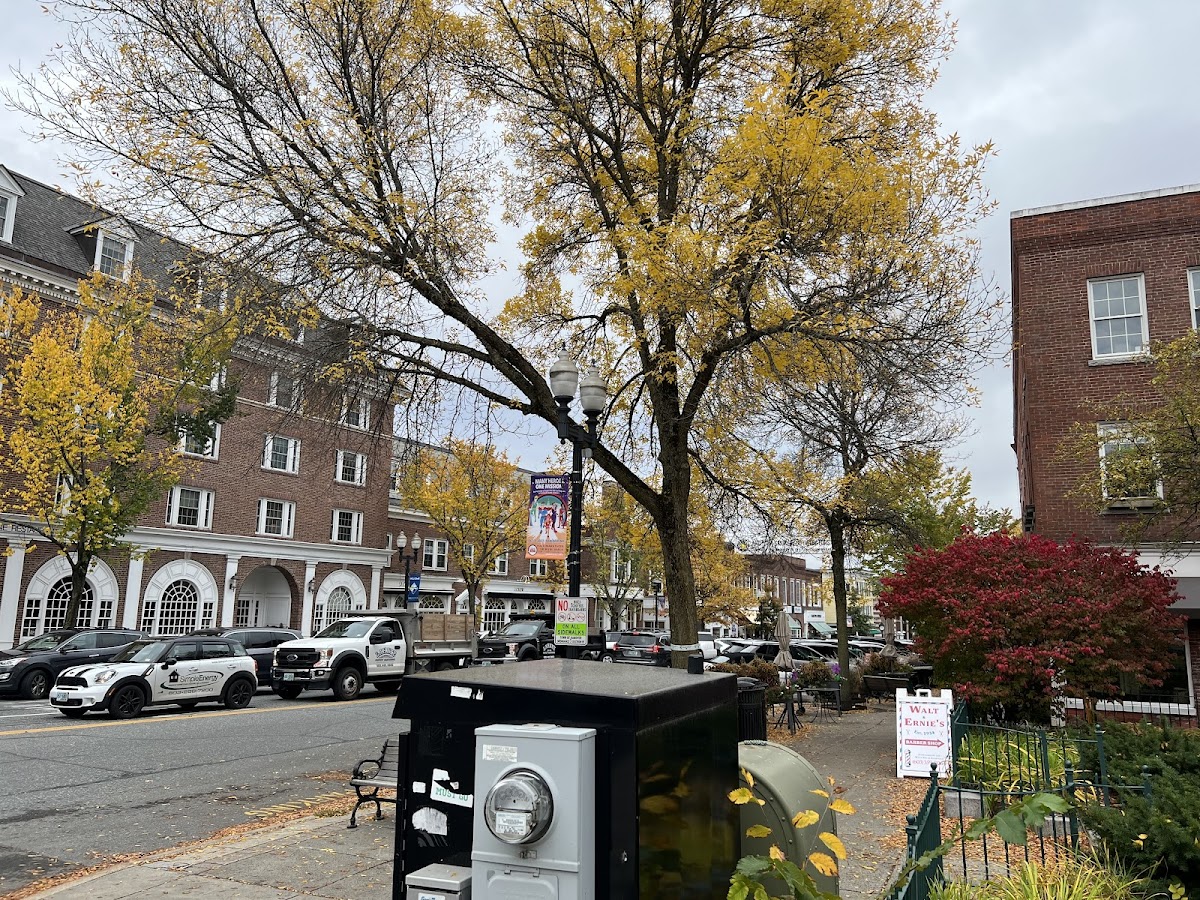 Dartmouth College photo 7