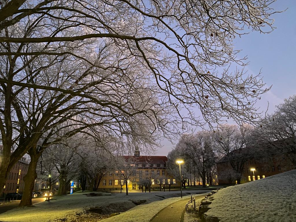 Hochschule Westphalia photo 3
