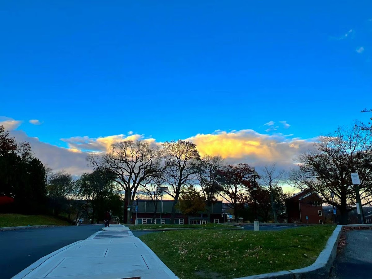 Tufts University photo 7