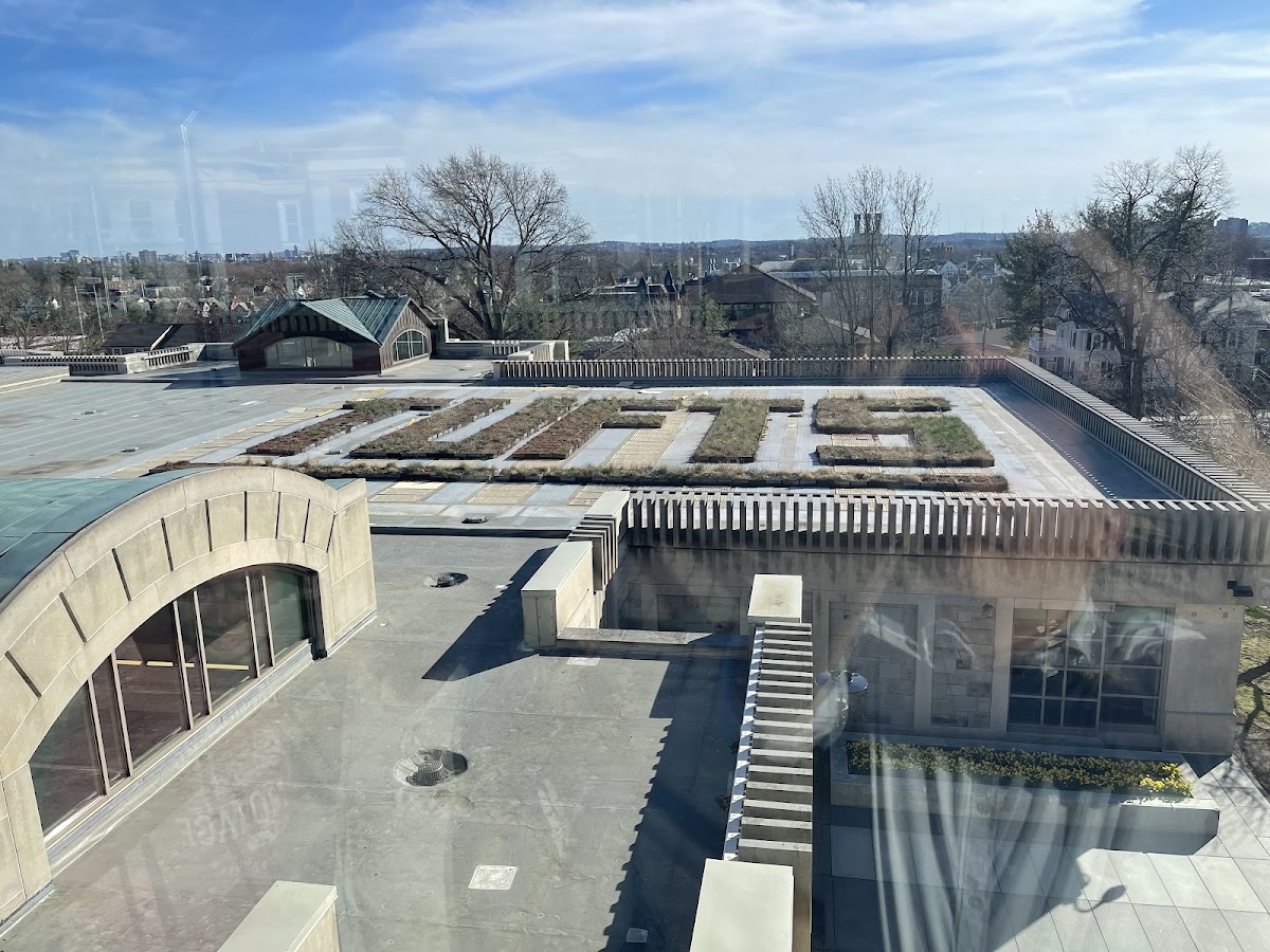 Tufts University photo 8