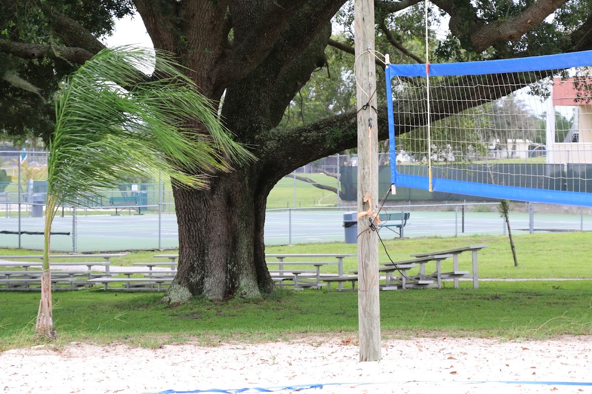 Webber International University photo 2