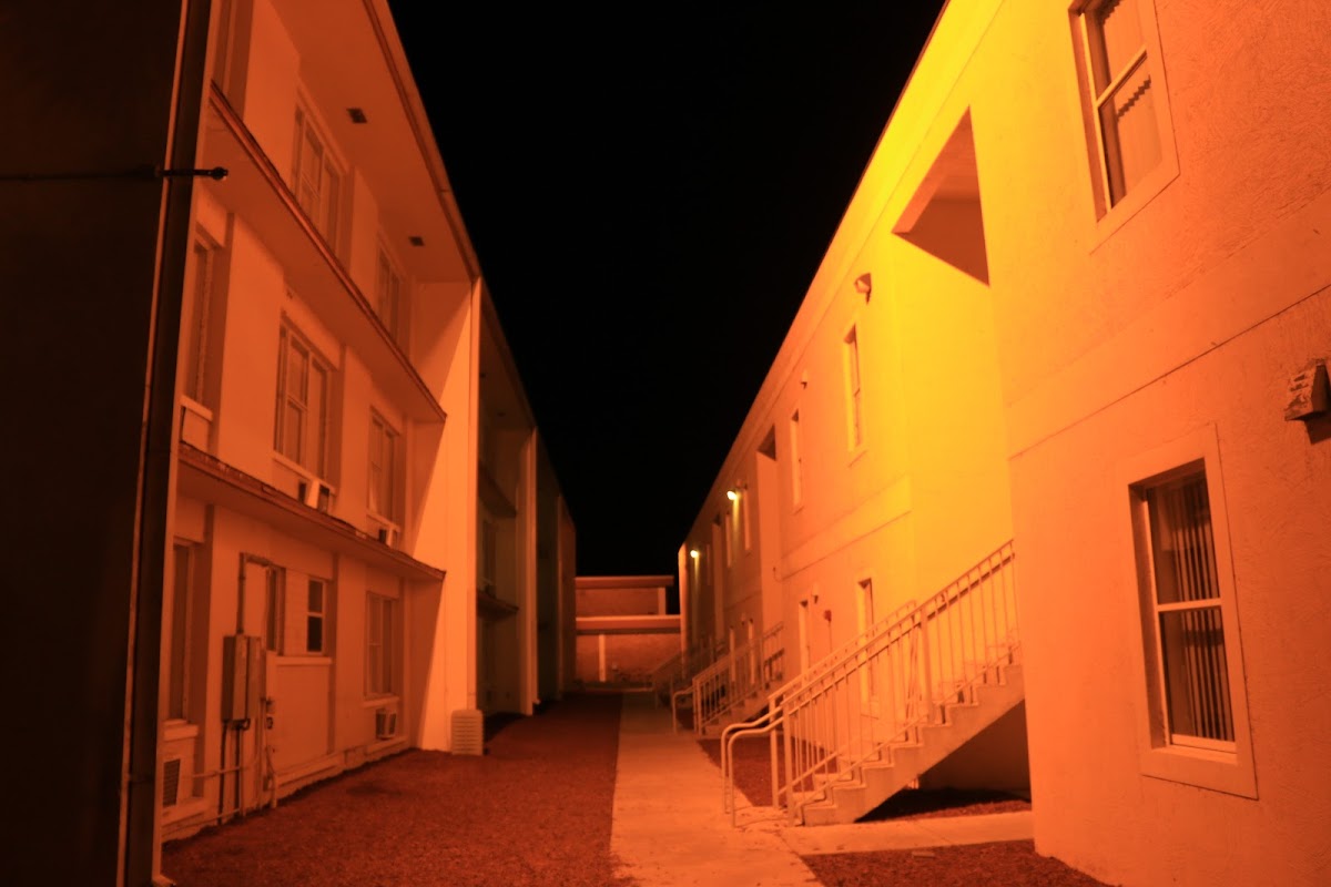 Webber International University photo 3