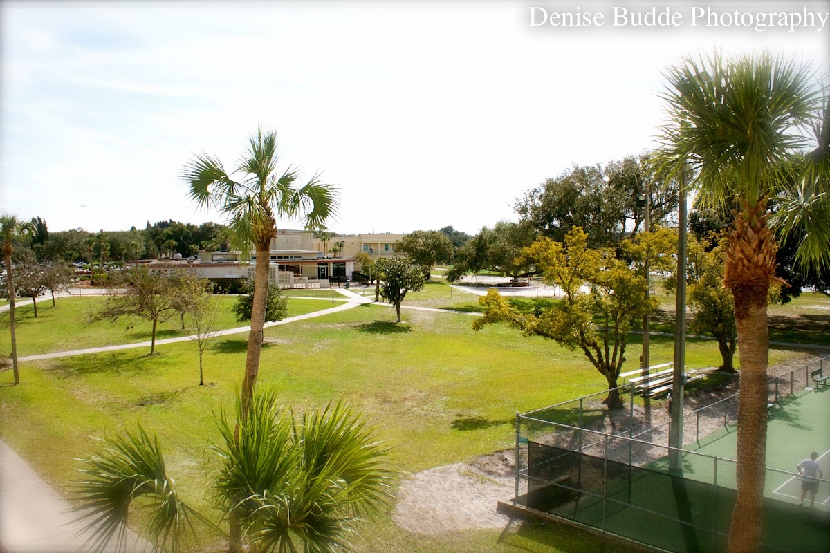 Webber International University photo 5