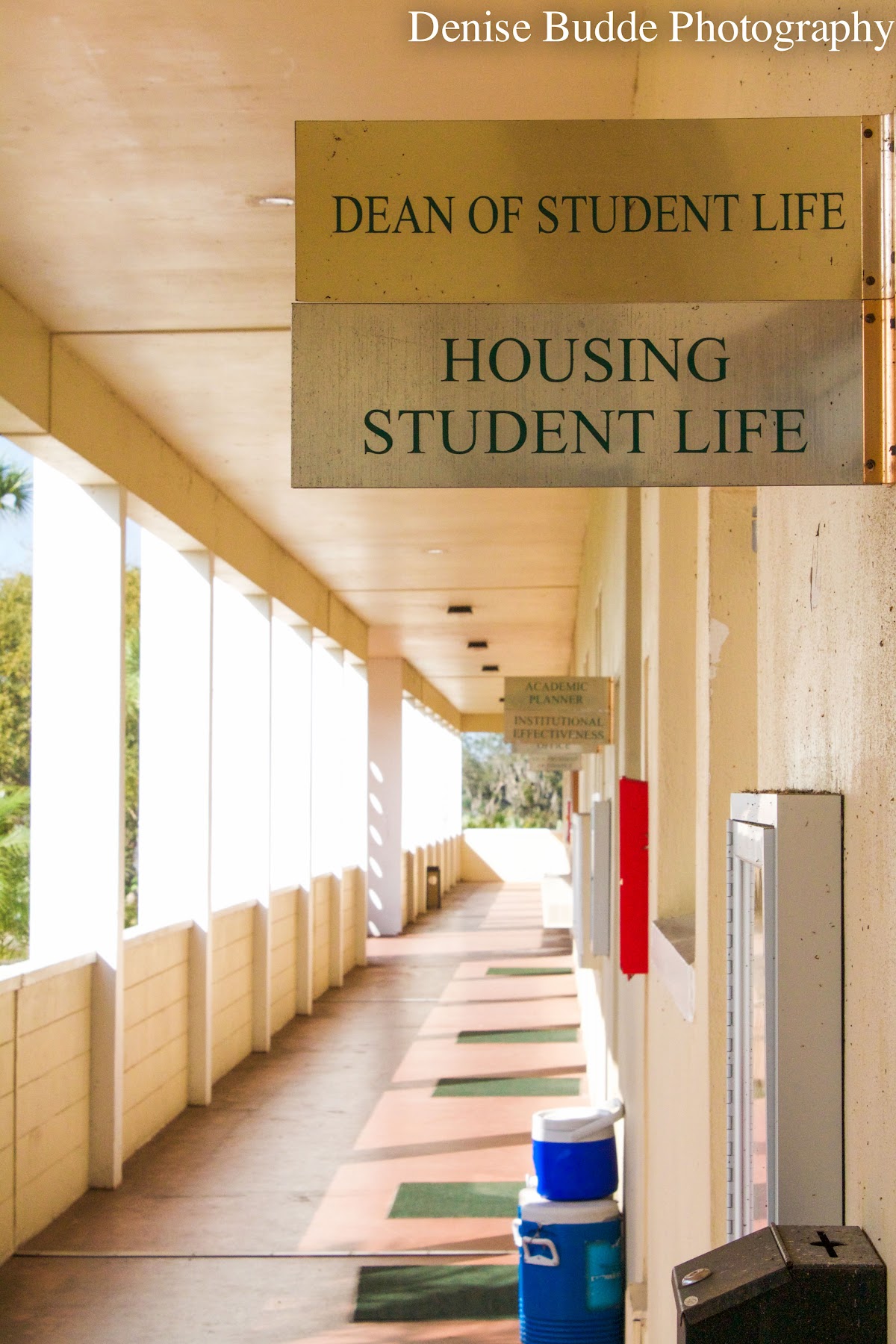 Webber International University photo 8