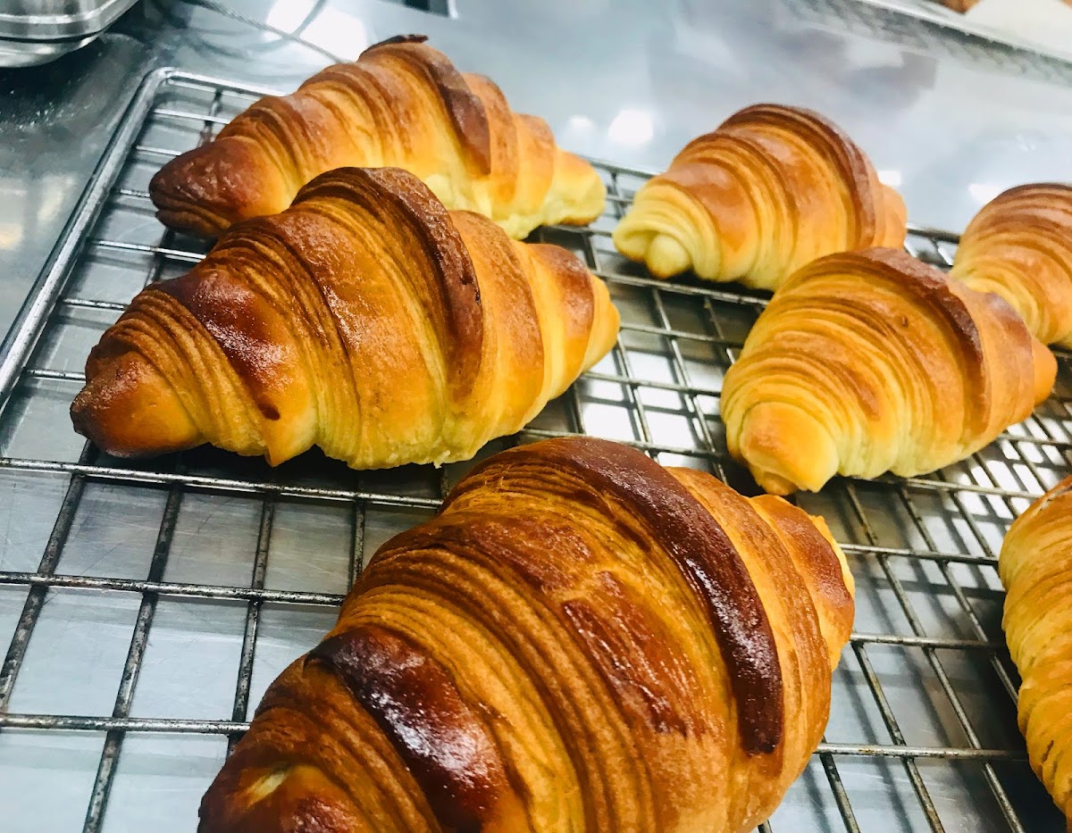 William Angliss Institute photo 1