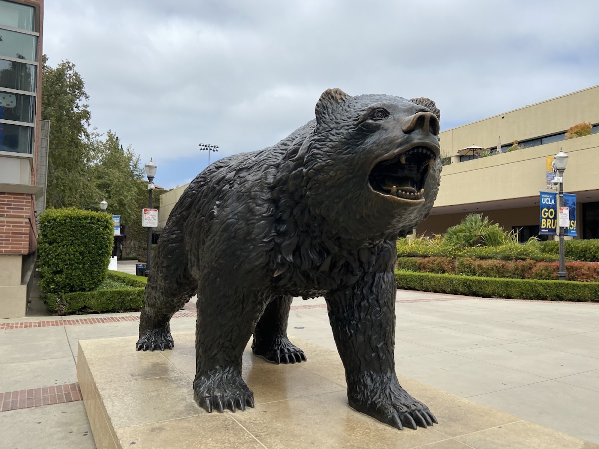 University_1252 photo 7