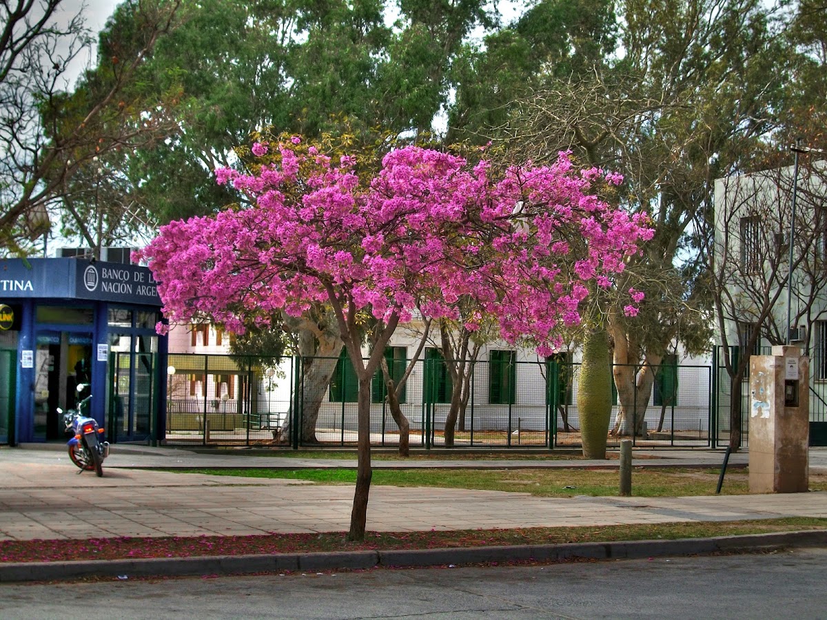 National University of Catamarca photo 5
