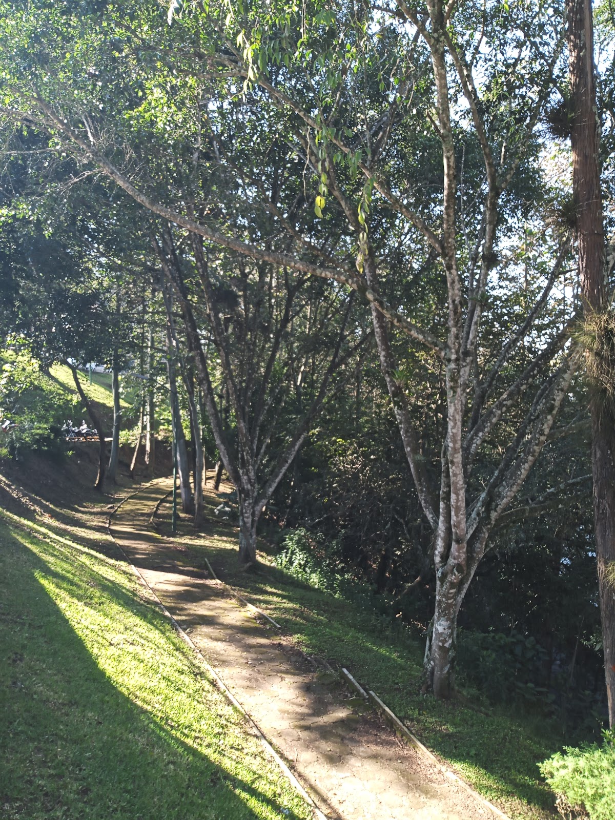 University of Veracruz photo 1