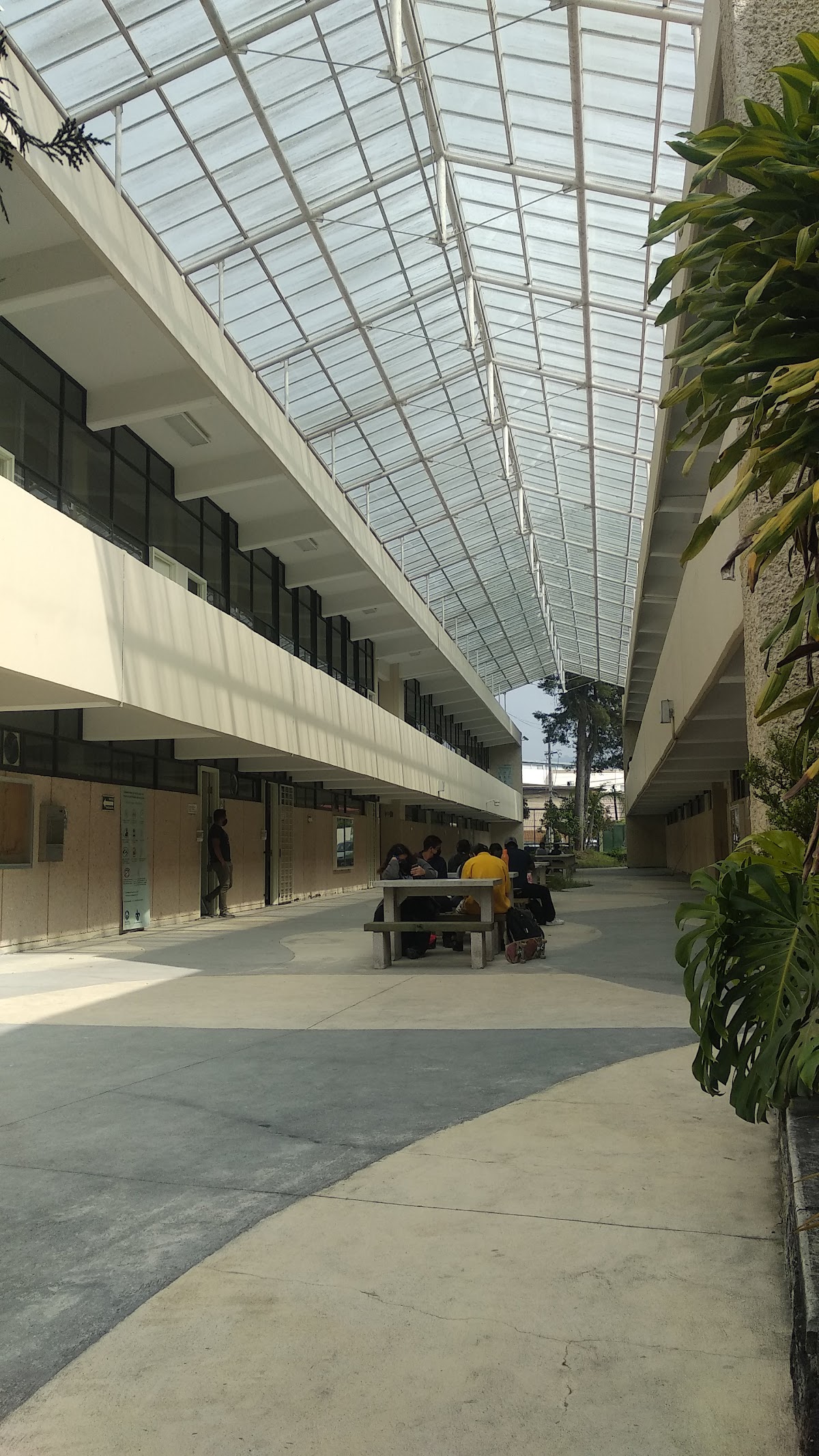 University of Veracruz photo 4