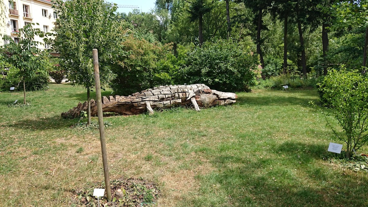 Kazimierz Wielki University in Bydgoszcz photo 2