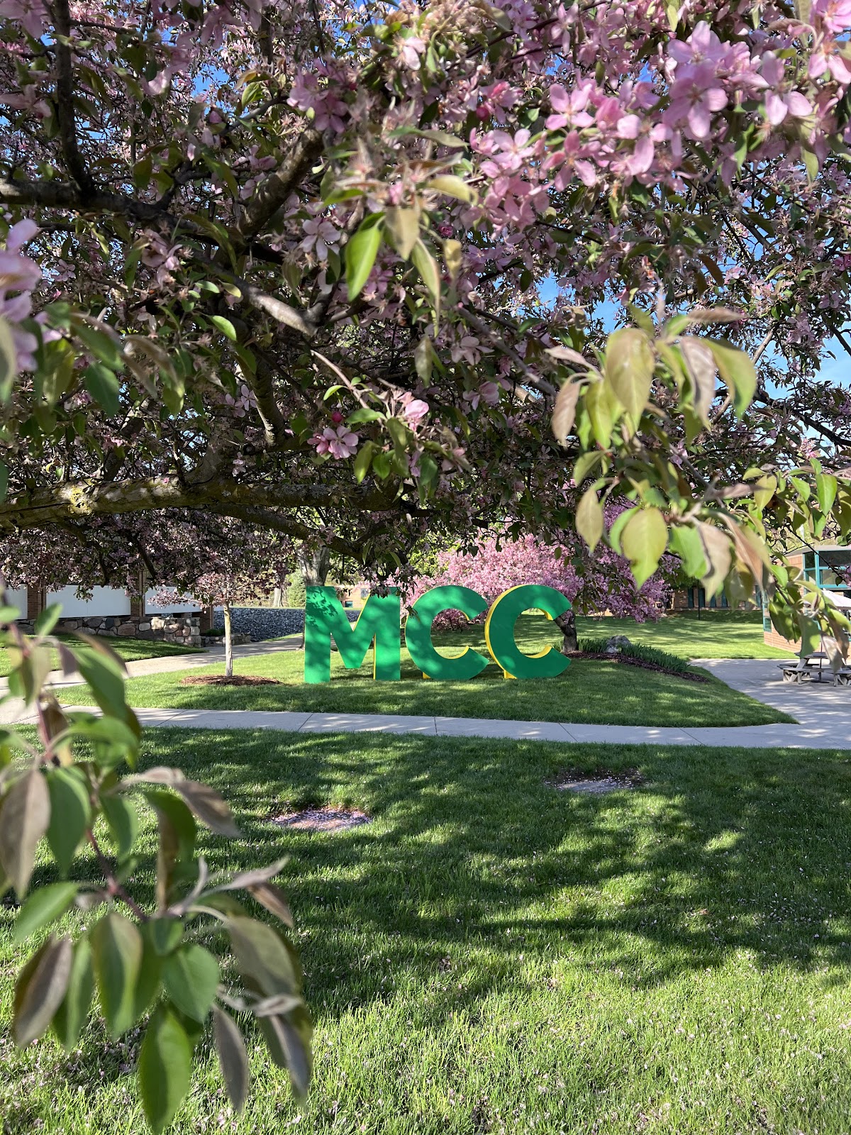 Collège Montcalm photo 9