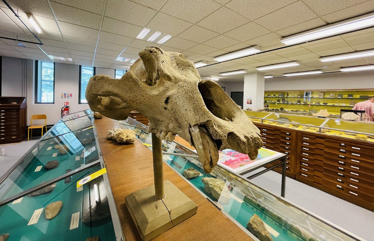 University of Caen Normandy photo 1