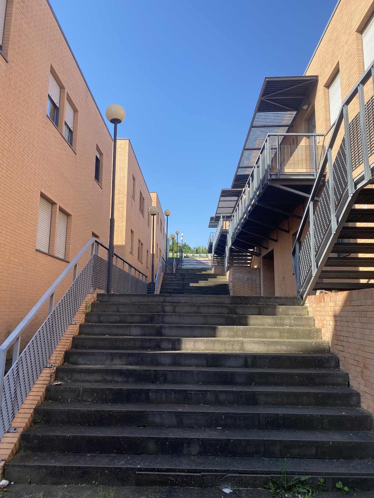 University of Camerino photo 6