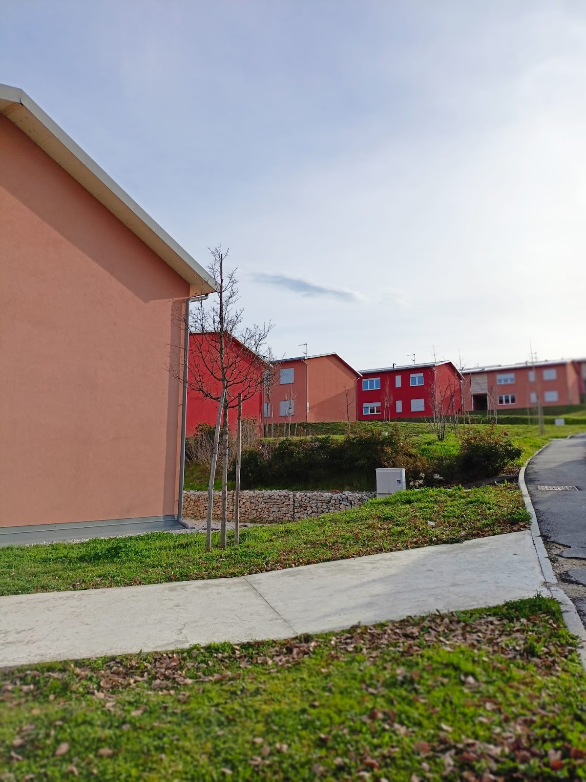 University of Camerino photo 7