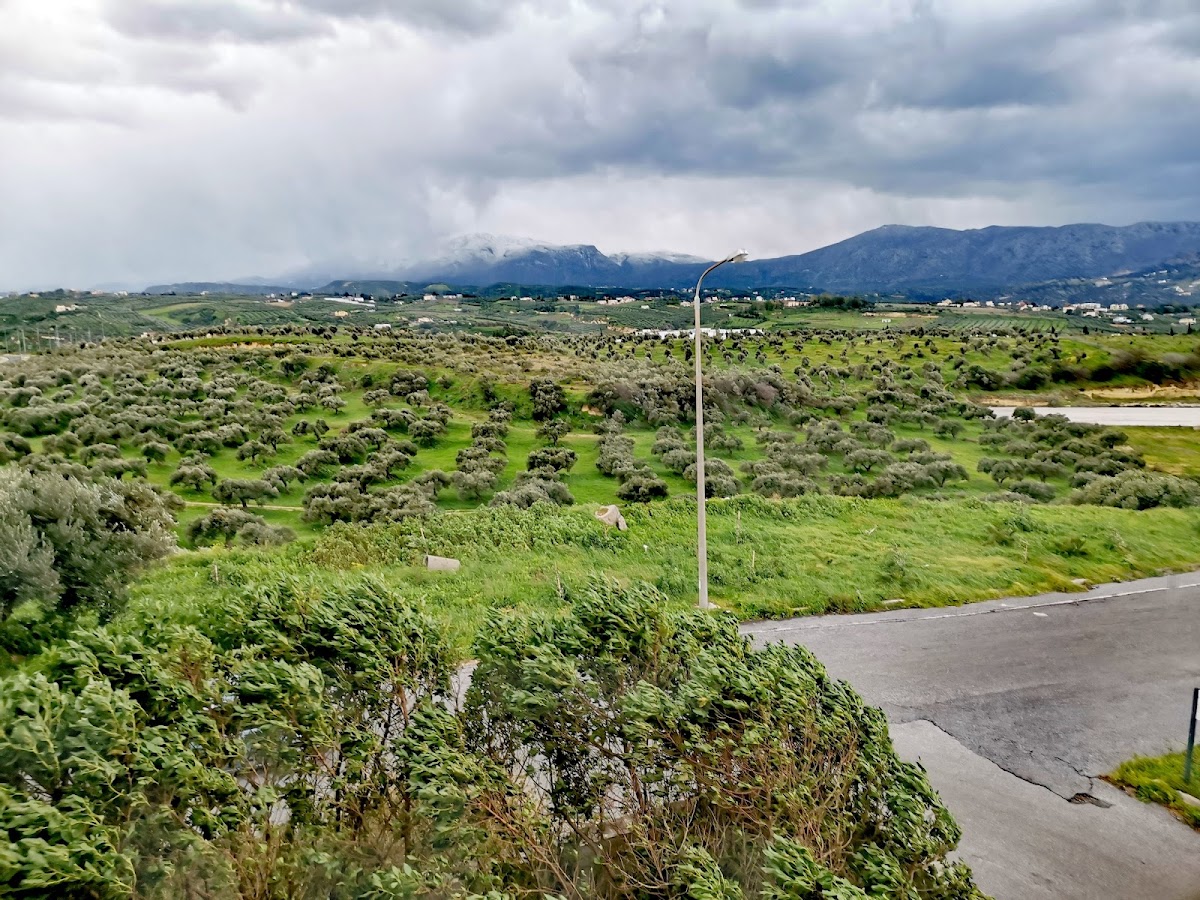 University of Crete photo 6