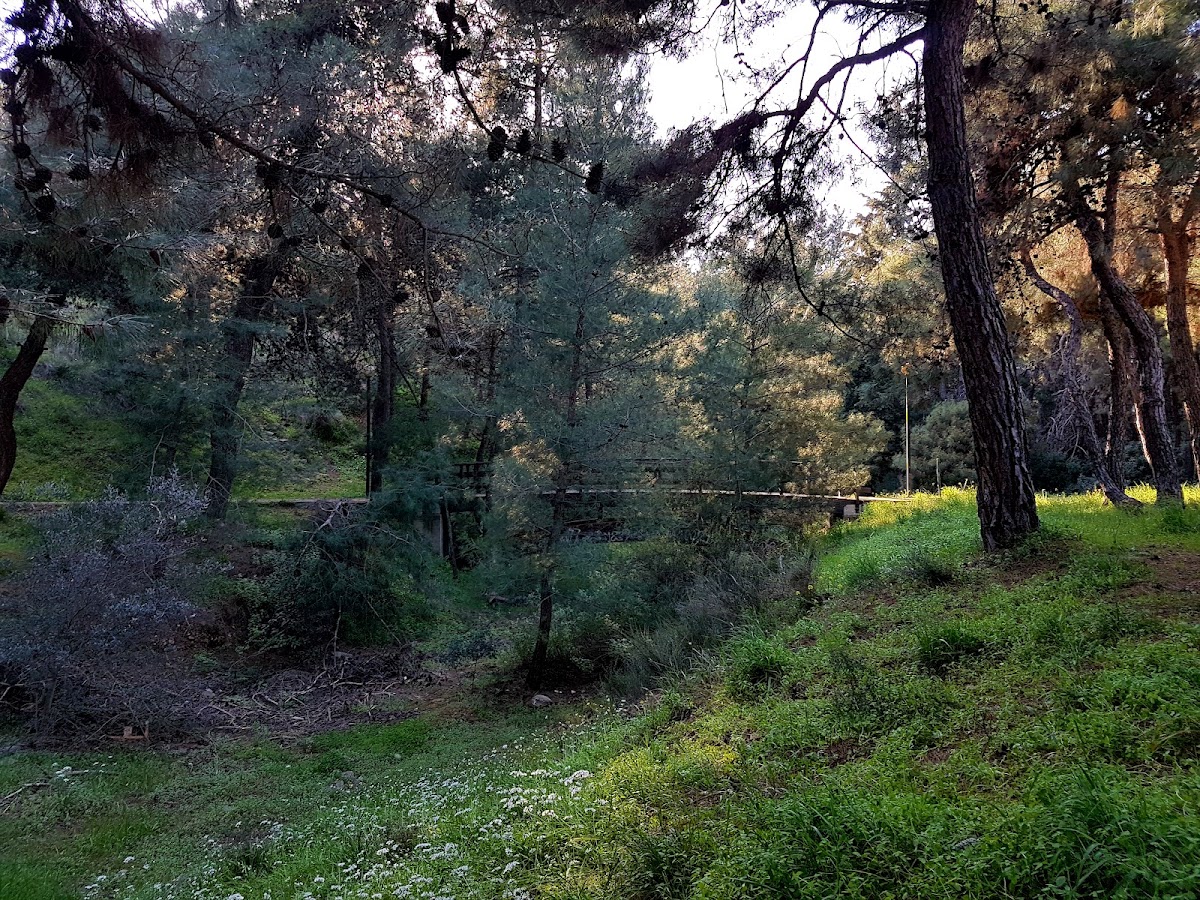 National Technical University of Athens photo 8