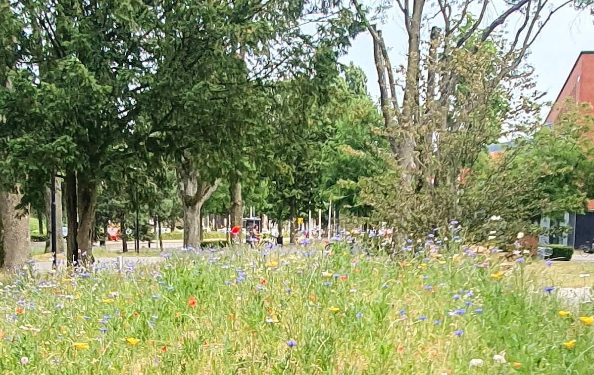 Breda University of Applied Sciences photo 2