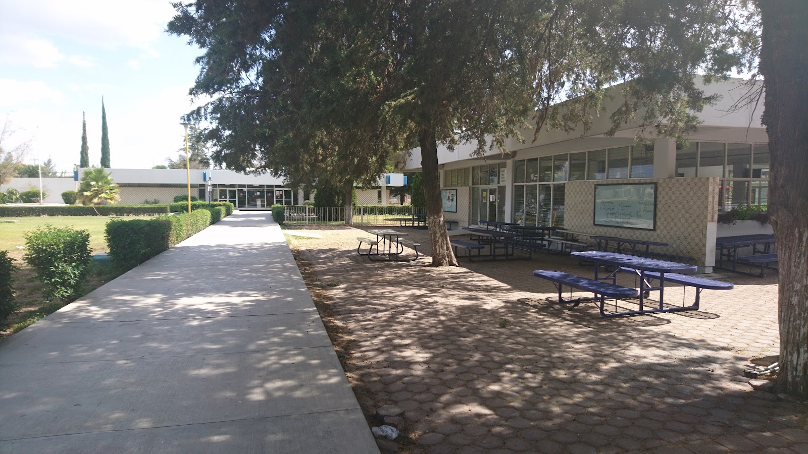 Technological Institute of León