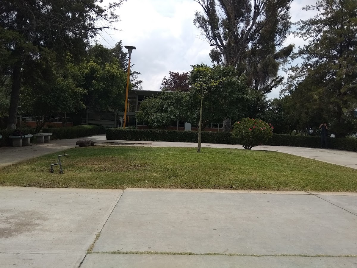 Technological Institute of León photo 3